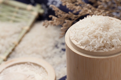 大米厂家介绍水稻的知识